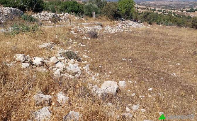 Land Lot for Sale Isimsiz Yol, Taslica, Dora. Photo#4 Land Lot for Sale Isimsiz Yol, Taslica, Dora. Photo#4