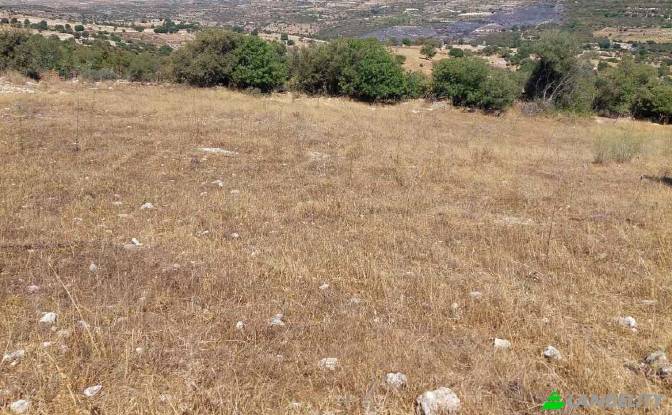 Land Lot for Sale Isimsiz Yol, Taslica, Dora. Photo#5 Land Lot for Sale Isimsiz Yol, Taslica, Dora. Photo#5