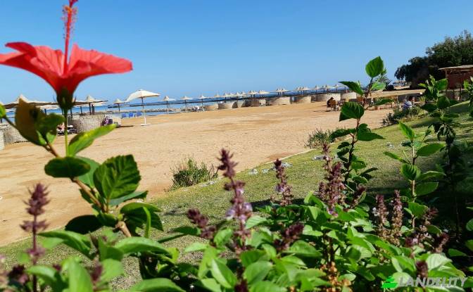 Apartment for Sale 1981735, Hurghada. Photo#7