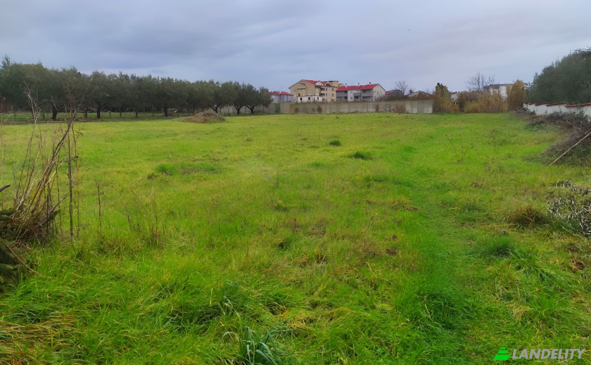 Land Lot for Sale Kastanjer 69, 52100, Pula, Grad Pula, Istria County, Croatia. Photo 1