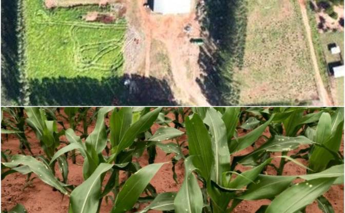 Investing/Development for Sale - Asent Kurupayty, Paraguay