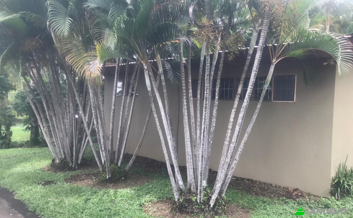 Single Family Home for Sale Provincia de Alajuela, San Pedro, Valverde Vega, Alajuela Province, Costa Rica. Photo 10