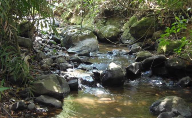 Single Family Home for Sale Provincia de Alajuela. Photo#3