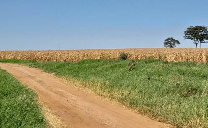 Farm/Ranch for Sale - San Agustin, Paraguay