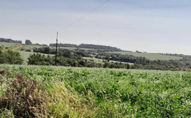 Farm/Ranch for Sale Via Sin Nombre, 051902. Photo#4