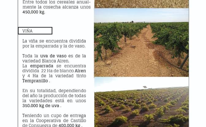 Investing/Development for Sale Via Sin Nombre. Photo#3