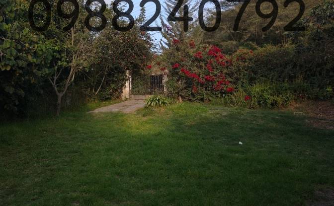 Farm/Ranch for Sale Via Sin Nombre, Quito 170209. Photo#2 Farm/Ranch for Sale Via Sin Nombre, Quito 170209. Photo#2