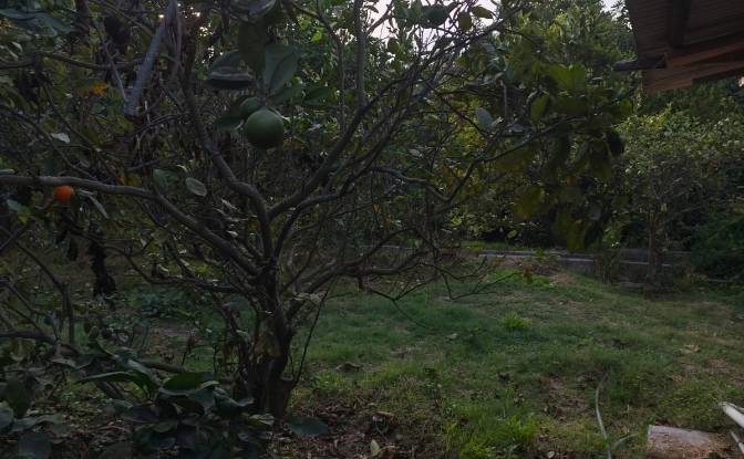 Farm/Ranch for Sale Via Sin Nombre, Quito 170209. Photo#3 Farm/Ranch for Sale Via Sin Nombre, Quito 170209. Photo#3