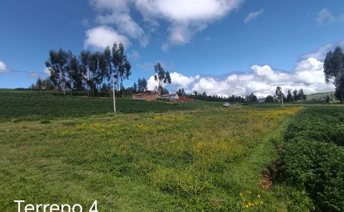 Land Lot for Sale CU-1151, Cusco, Anta Province. Photo#5