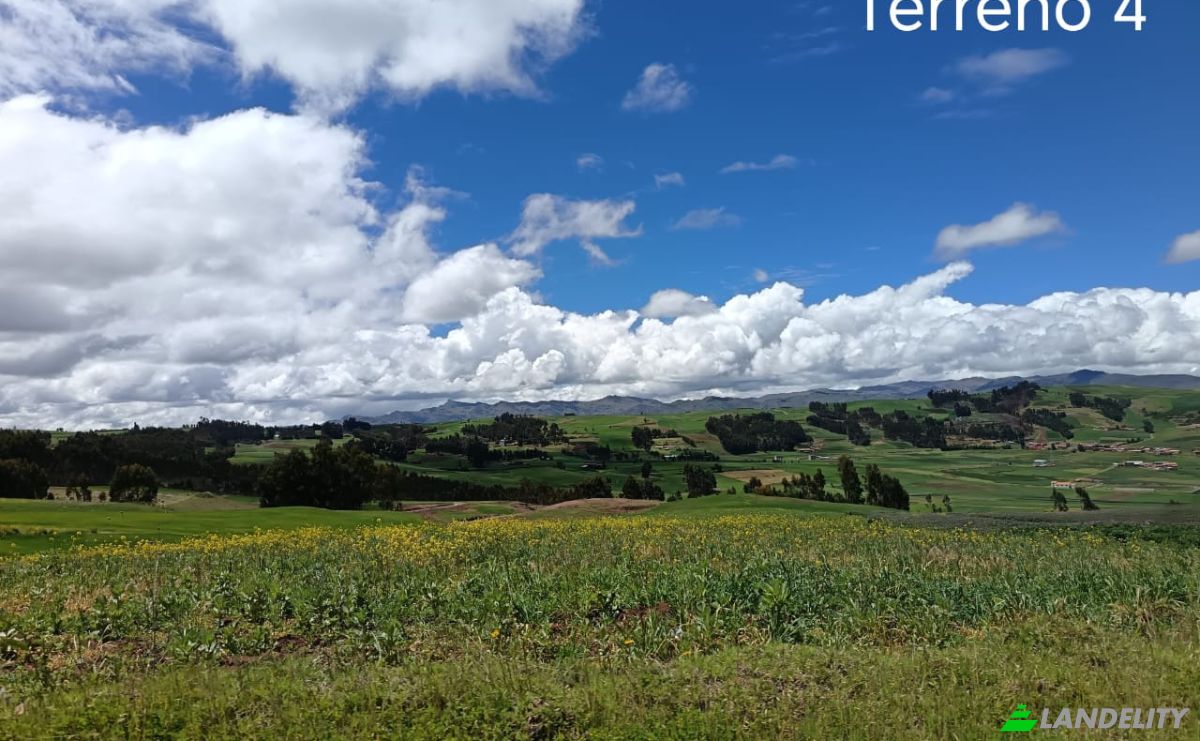 Land Lot for Sale CU-1151, Cusco, Anta Province, Peru. Photo 6
