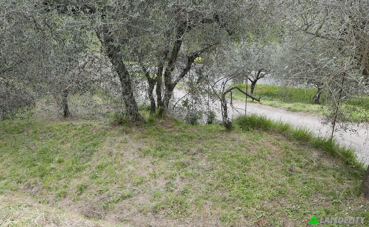 Apartment for Sale Localita Costa di Tranci, 19020 Calice al Cornoviglio SP, Calice al Cornoviglio, Province of La Spezia, Liguria, Italy. Photo 4