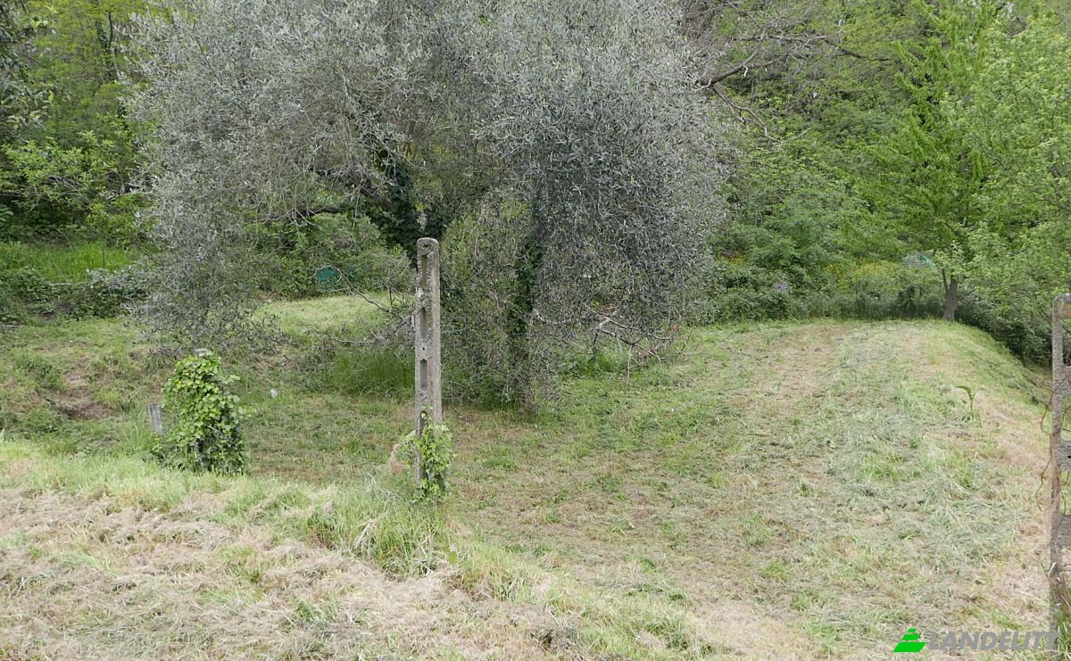 Apartment for Sale Localita Costa di Tranci, 19020 Calice al Cornoviglio SP, Calice al Cornoviglio, Province of La Spezia, Liguria, Italy. Photo 5