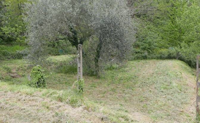 Apartment for Sale Localita Costa di Tranci. Photo#5 Apartment for Sale Localita Costa di Tranci. Photo#5