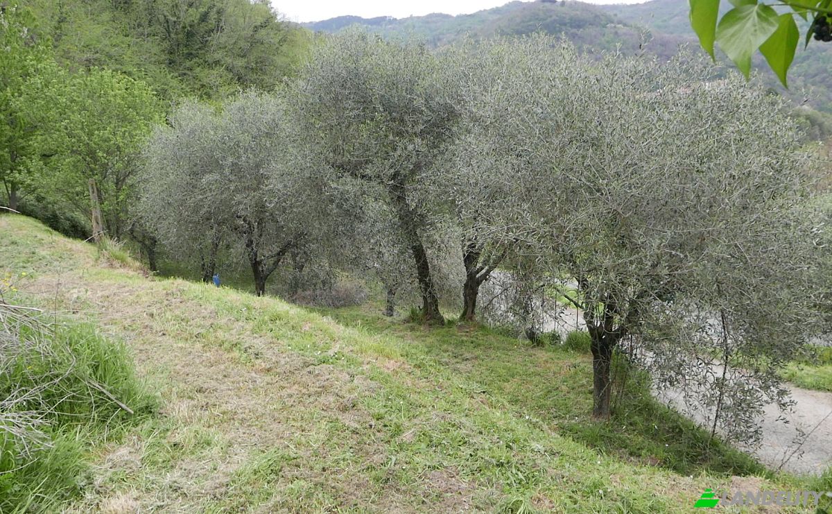 Apartment for Sale Localita Costa di Tranci, 19020 Calice al Cornoviglio SP, Calice al Cornoviglio, Province of La Spezia, Liguria, Italy. Photo 6