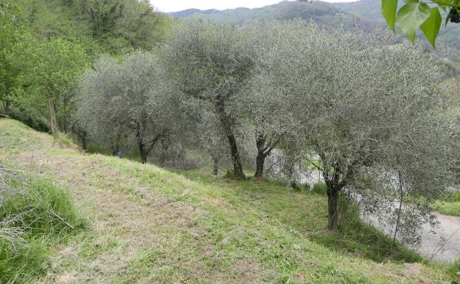 Apartment for Sale Localita Costa di Tranci. Photo#6 Apartment for Sale Localita Costa di Tranci. Photo#6