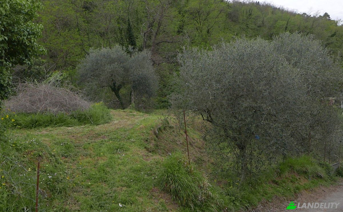 Apartment for Sale Localita Costa di Tranci, 19020 Calice al Cornoviglio SP, Calice al Cornoviglio, Province of La Spezia, Liguria, Italy. Photo 7
