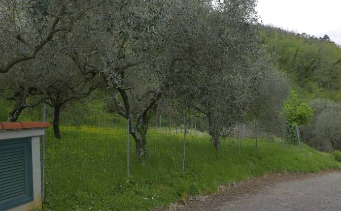 Apartment for Sale Localita Costa di Tranci. Photo#8 Apartment for Sale Localita Costa di Tranci. Photo#8