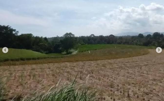 Land Lot Rentals - Tegal Mengkeb, Indonesia
