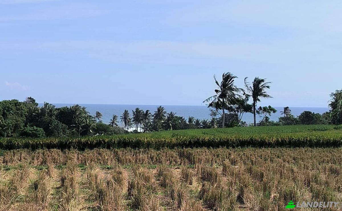 Land Lot for Rent Tegal Mengkeb, Tabanan Regency, Bali, Indonesia, Selemadeg Timur. Photo 2