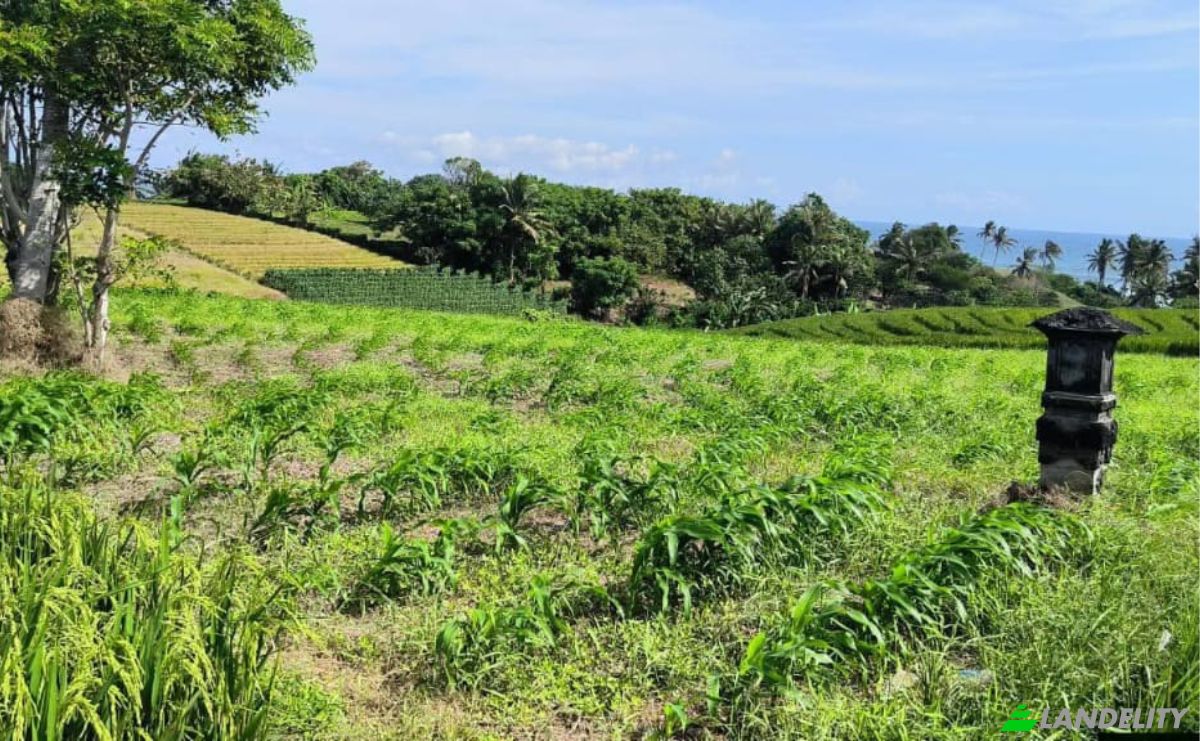 Land Lot for Rent Tegal Mengkeb, Tabanan Regency, Bali, Indonesia, Selemadeg Timur. Photo 3