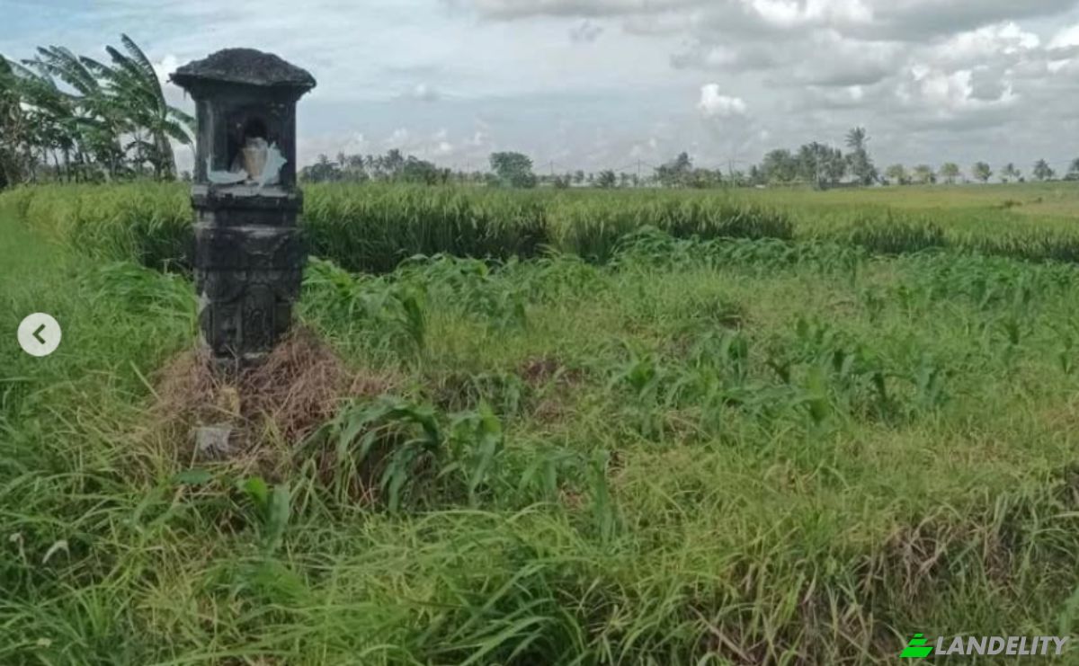 Land Lot for Rent Tegal Mengkeb, Tabanan Regency, Bali, Indonesia, Selemadeg Timur. Photo 4
