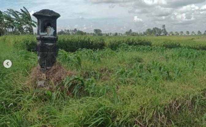 Land Lot for Rent Tegal Mengkeb, Tabanan Regency. Photo#4