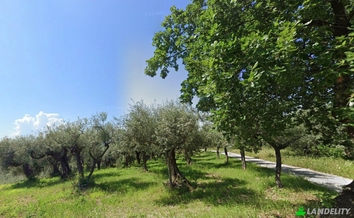 Land Lot for Sale Contrada Fiume, 65014 Loreto Aprutino PE, Loreto Aprutino, Province of Pescara, Abruzzo, Italy. Photo 2