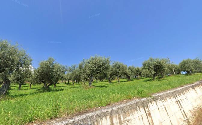 Land Lot for Sale Contrada Fiume. Photo#5
