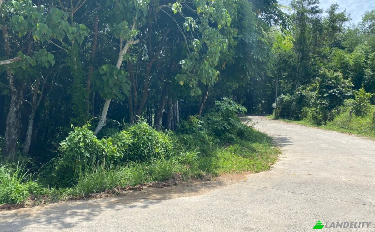 Investing/Development for Sale Soi Layan 1, Tambon Choeng Thale, Amphoe Thalang, Chang Wat Phuket 83110, Choeng Thale, Thalang District, Phuket, Thailand. Photo 7