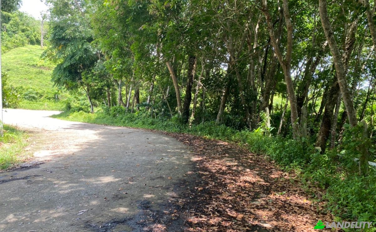 Investing/Development for Sale Soi Layan 1, Tambon Choeng Thale, Amphoe Thalang, Chang Wat Phuket 83110, Choeng Thale, Thalang District, Phuket, Thailand. Photo 8