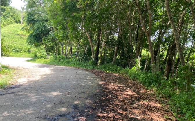 Investing/Development for Sale Soi Layan 1. Photo#8 Investing/Development for Sale Soi Layan 1. Photo#8