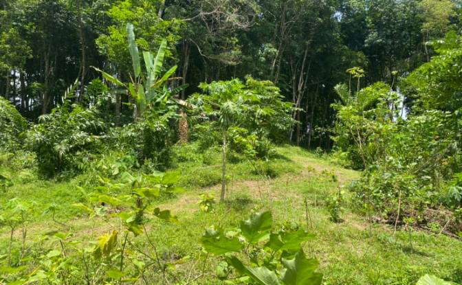 Investing/Development for Sale Soi Layan 1. Photo#2 Investing/Development for Sale Soi Layan 1. Photo#2