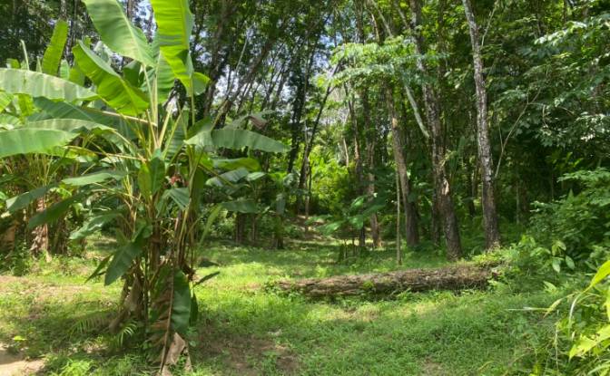 Investing/Development for Sale Soi Layan 1. Photo#3 Investing/Development for Sale Soi Layan 1. Photo#3
