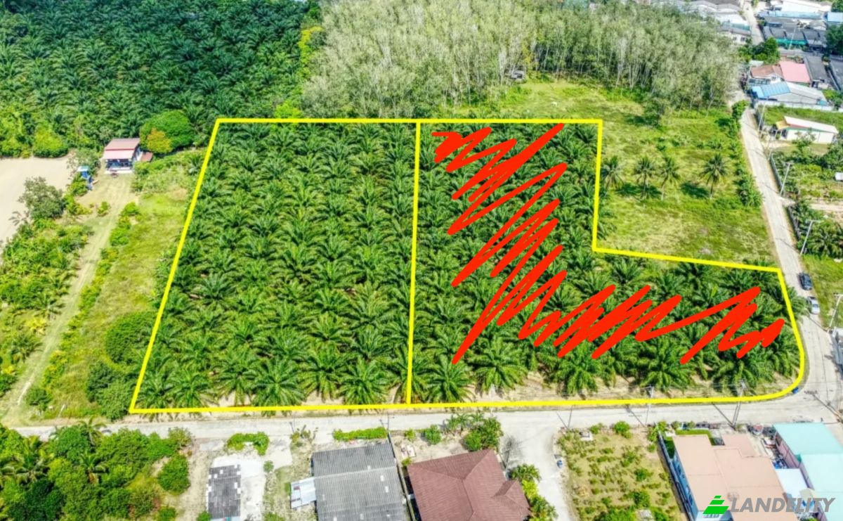 Investing/Development for Sale 5 Tambon Khok Kloi, Amphoe Takua Thung, Chang Wat Phang-nga 82140, Khok Kloi, Takua Thung District, Phang Nga, Thailand. Photo 1