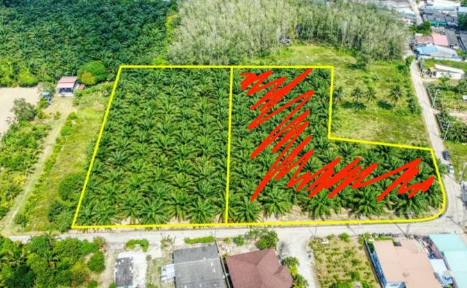 Investing/Development for Sale - Khok Kloi, Thailand