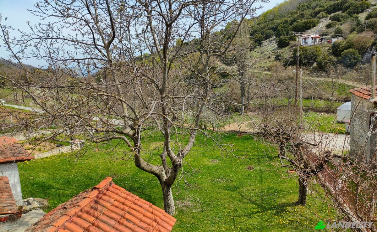 Duplex for Sale Livadi 570 06, Livadi, Central Macedonia, Decentralized Administration of Macedonia and Thrace, Greece. Photo 2