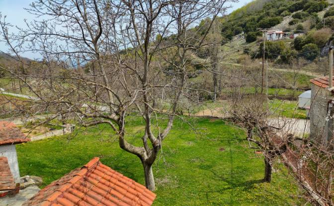 Duplex for Sale Livadi 570 06, Livadi. Photo#2