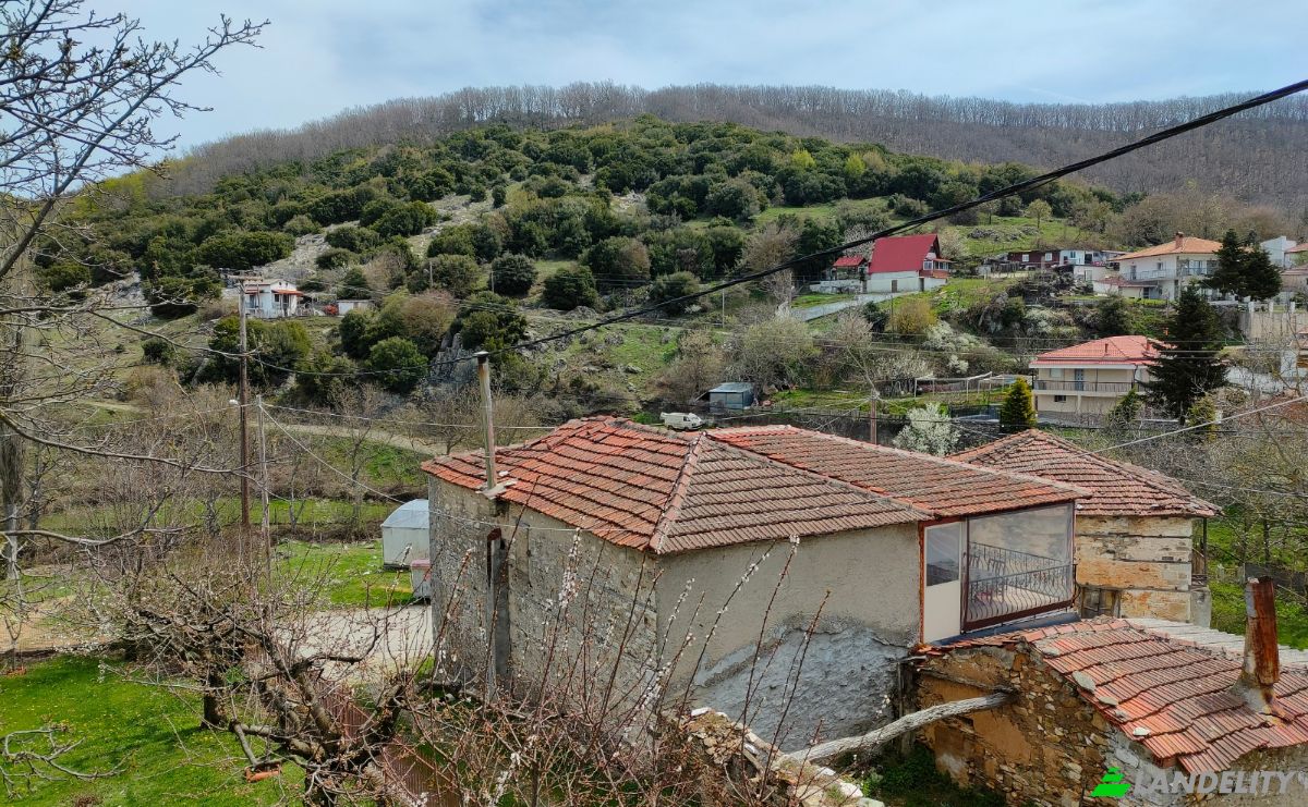 Duplex for Sale Livadi 570 06, Livadi, Central Macedonia, Decentralized Administration of Macedonia and Thrace, Greece. Photo 4