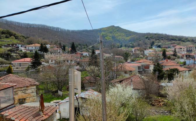 Duplex for Sale Livadi 570 06, Livadi. Photo#5