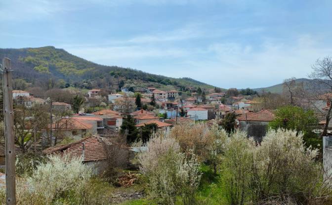 Duplex for Sale Livadi 570 06, Livadi. Photo#6