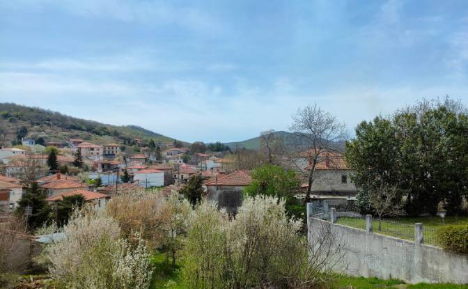 Duplex for Sale Livadi 570 06, Livadi. Photo#7