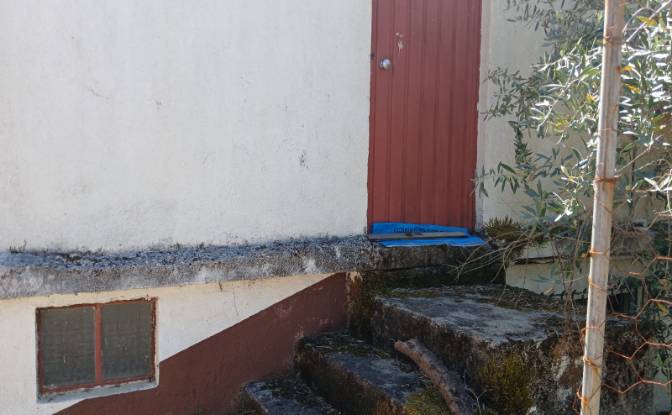 Farm/Ranch for Sale EM538, 6160, Sardeiras Baixo. Photo#5