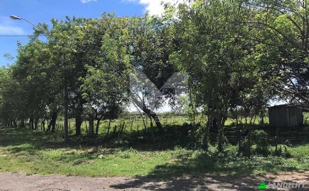 Lote de terreno à venda Via Garicin, Rio Grande, Penonome District, Cocle Province, Panama, Provincia de Cocle. foto 4