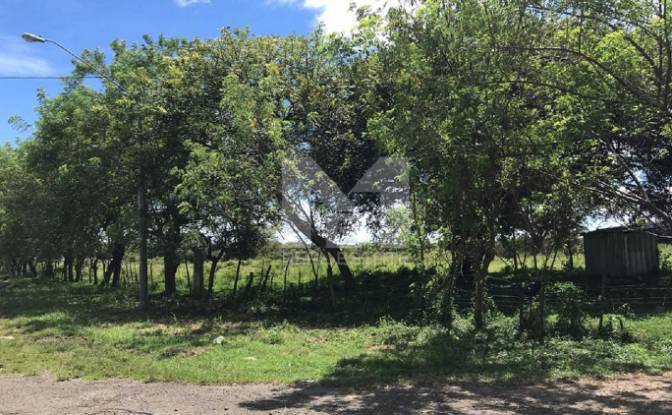 Lote de terreno à venda Via Garicin, Rio Grande. foto#4