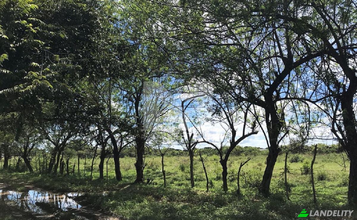 Lote de terreno à venda Via Garicin, Rio Grande, Penonome District, Cocle Province, Panama, Provincia de Cocle. foto 5
