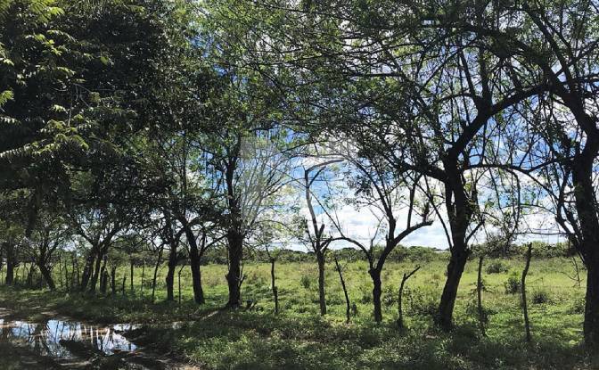 Lote de terreno à venda Via Garicin, Rio Grande. foto#5
