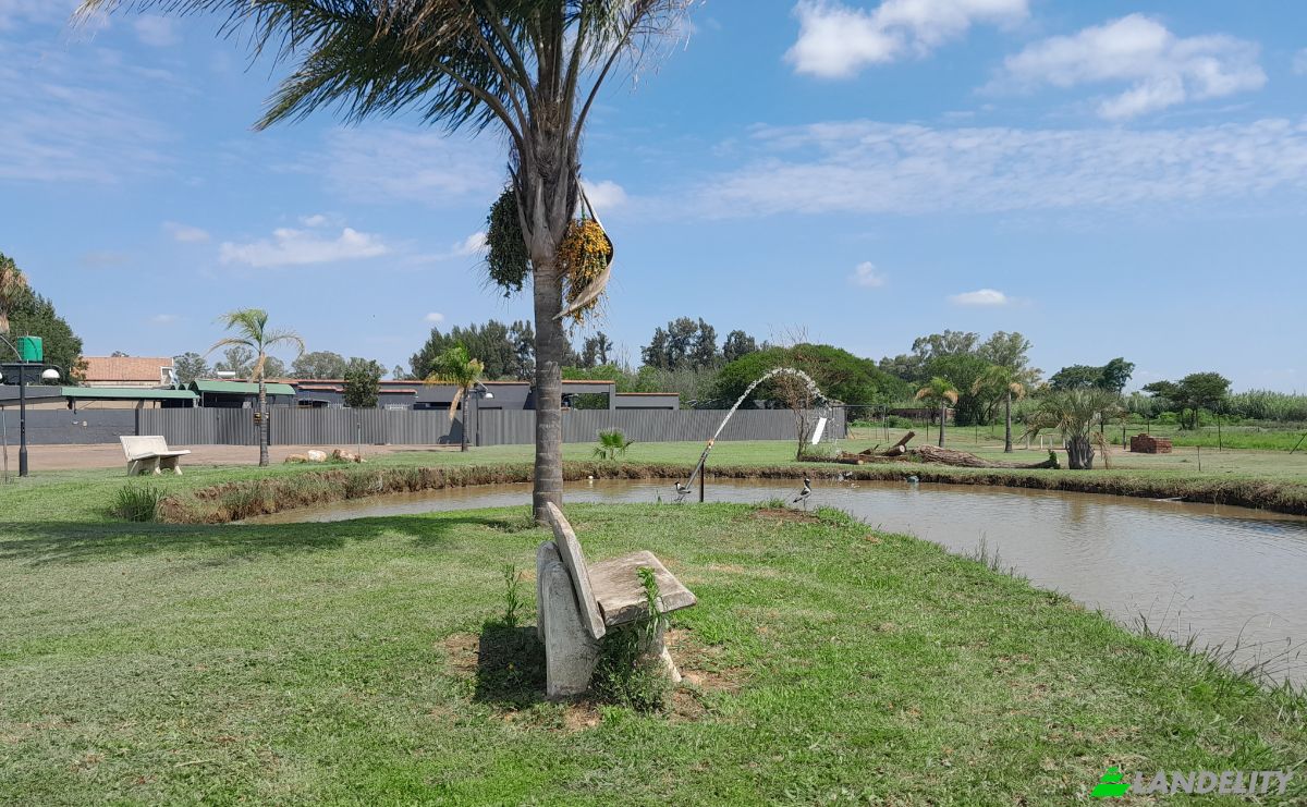 Farm/Ranch for Sale 84 Sphinx Rd, Pretoria, City of Tshwane Metropolitan Municipality, Gauteng, South Africa, 0110. Photo 6