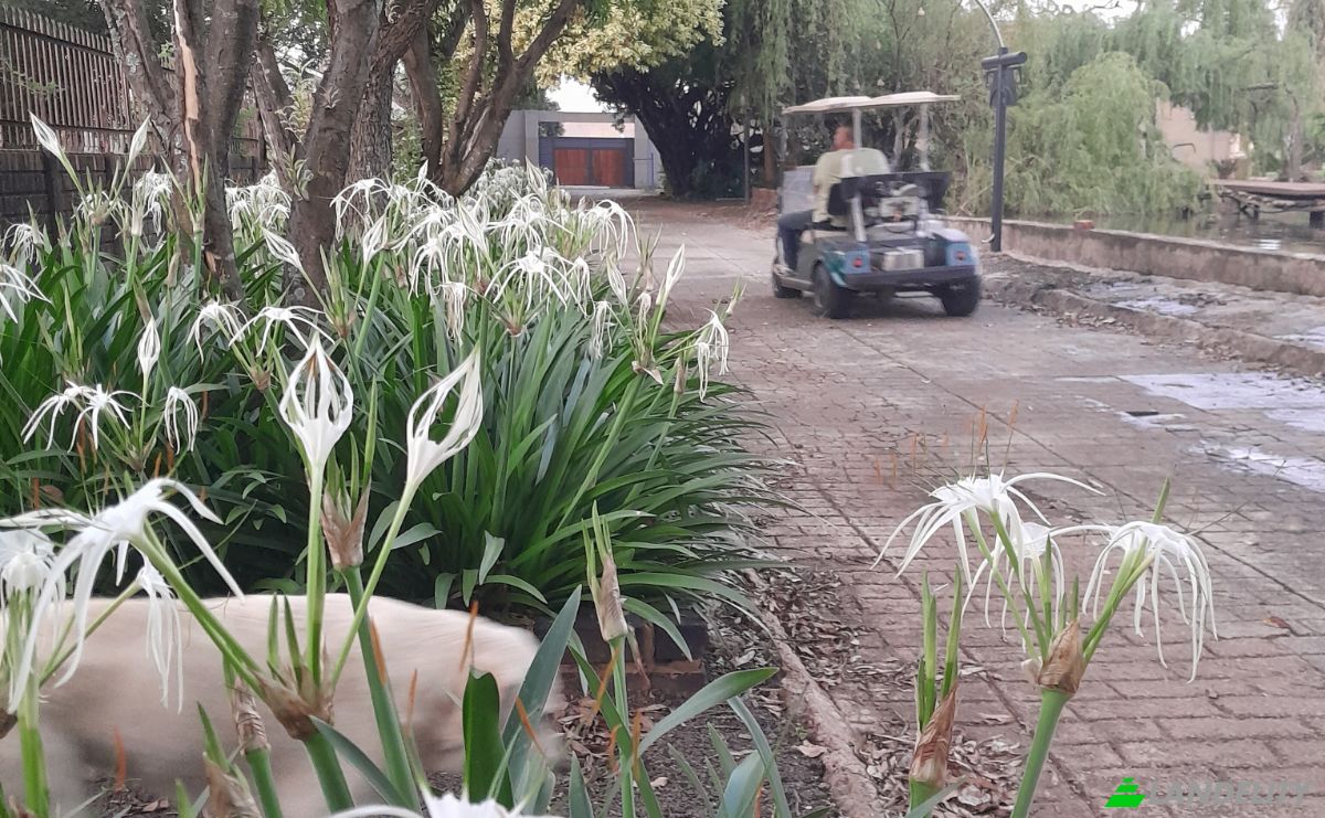 Farm/Ranch for Sale 84 Sphinx Rd, Pretoria, City of Tshwane Metropolitan Municipality, Gauteng, South Africa, 0110. Photo 7