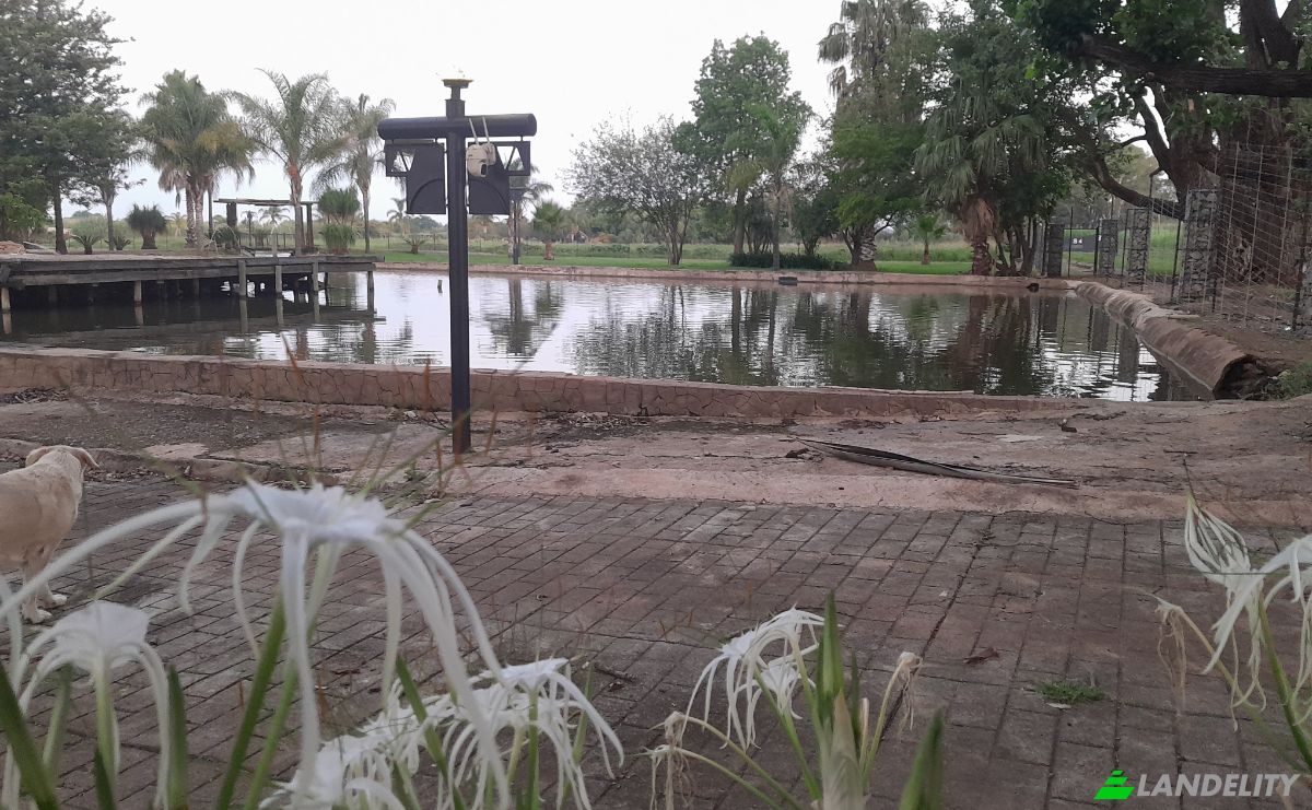 Farm/Ranch for Sale 84 Sphinx Rd, Pretoria, City of Tshwane Metropolitan Municipality, Gauteng, South Africa, 0110. Photo 8