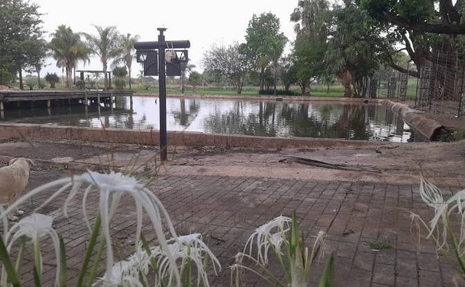 Farm/Ranch for Sale 84 Sphinx Rd, Pretoria. Photo#8 Farm/Ranch for Sale 84 Sphinx Rd, Pretoria. Photo#8